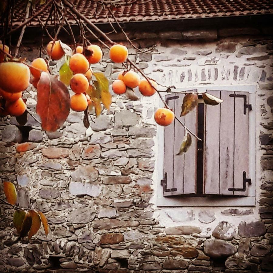 Ai Chiosi Affittacamere Pontremoli Exteriér fotografie
